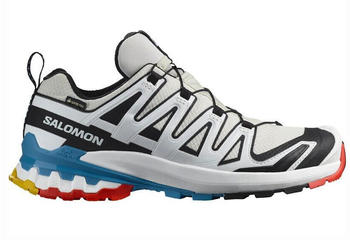 Salomon XA PRO 3D V9 GTX Damen-Trailrunningschuhe mehrfarbig