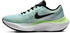 Nike Zoom Fly blau