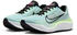 Nike Zoom Fly blau