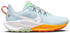 Nike Pegasus Trail 5
