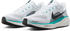 Nike Pegasus 41 white/dusty cactus/glacier blue/black