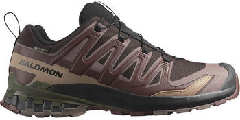 Salomon XA Pro 3D V9 Goretex Trail Running Shoes braun