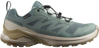 Salomon X-adventure Goretex Trail Running Shoes blau