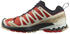 Salomon XA Pro 3D V9 Goretex Trail Running Shoes orange