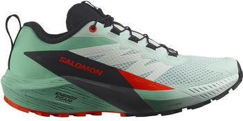Salomon Sense Ride Trail Running Shoes gr&uuml;n