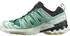 Salomon XA Pro 3D V9 Goretex Trail Running Shoes grün