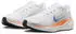 Nike Pegasus 41 Blueprint Women multi-colour/multi-colour