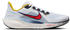 Nike Pegasus 41