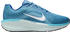 Nike Winflo 11 (FJ9509)