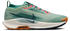Nike Pegasus Trail 5 GTX