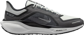 Nike Pegasus 41 GTX (FQ1356-002) grey/white