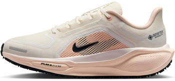 Nike Pegasus 41 GORE-TEX Women (FQ1357-100) sail/guava ice/crimson tint/anthracite