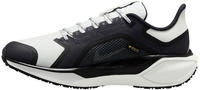 Nike FQ1357, Nike Pegasus 41 GORE-TEX Damen Laufschuhe (Schwarz 10 US, 42 EU)