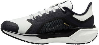 Nike Pegasus 41 GORE-TEX Women (FQ1357-002) black/anthracite/iron grey/summit white