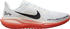 Nike Pegasus 41