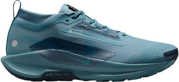 Nike Pegasus Trail 5 GORE-TEX (FQ0908) smoky blue/light silver/armoury navy/smoky blue