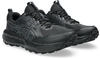Asics Gel-Sonoma 8 GTX (1011B977-002) black/carrier grey