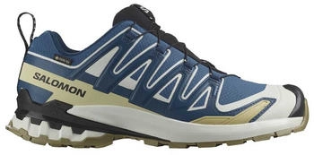 Salomon Xa Pro 3d V9 Goretex Trailrunning-Schuhe