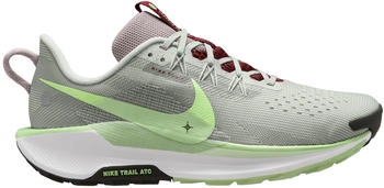 Nike Pegasus Trail 5 (DV3864-004) light silver/college grey