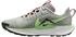 Nike Pegasus Trail 5 (DV3864-004) light silver/college grey