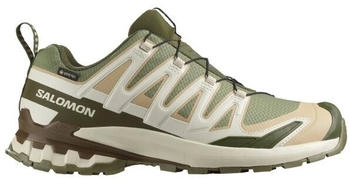 Salomon XA Pro 3D V9 GTX Multisportschuhe oliv beige