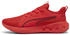 Puma Softride Carson