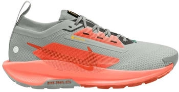 Nike Pegasus Trail 5 GTX (FQ0908-004) gris/agent