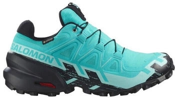 Salomon Speedcross 6 GTX W blau schwarz eisblau