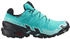 Salomon Speedcross 6 GTX W blau schwarz eisblau
