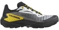 Salomon Genesis Schuhe grau