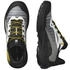 Salomon Genesis Schuhe grau