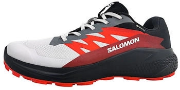 Salomon Alphaglide GTX red/grey/black