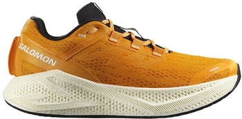 Salomon Aero Glide 3 turmeric/white/black