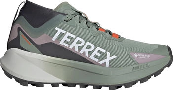 Adidas Terrex Agravic GTX Women silver green/cloud white/preloved fig