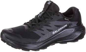 Salomon Alphaglide GTX Laufschuhe schwarz asphalt