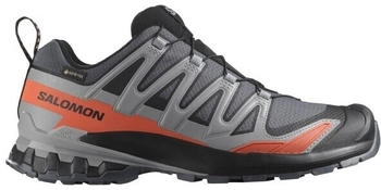 Salomon Xa Pro 3D v9 GTX Turbulence schwarz burnt ochre