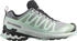 Salomon XA Pro 3D V9 GTX Women's
