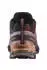 Salomon XA PRO 3D V9 Laufschuh