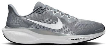 Nike Pegasus Herren Laufschuhe grau