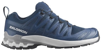 Salomon Xa Pro 3D v9 poseidon icicle alloy