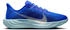 Nike Pegasus Plus (Herren)