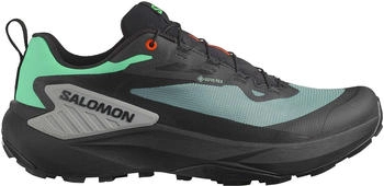 Salomon Genesis GTX (L47688300) atlantic/black