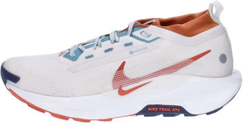 Nike Pegasus Trail 5 GTX (FQ0908) phantom/dark russet/denim turquoise/vintage coral