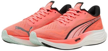 Puma Velocity Nitro 3 Laufschuhe glowing red puma black puma white
