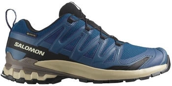 Salomon Xa Pro 3D V9 GTX Schuhe blau schwarz