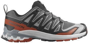 Salomon XA Pro 3D V9 Schuhe grau