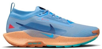 Nike Pegasus Trail 5 GORE-TEX Trailrunningschuhe hellblau