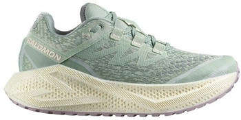 Salomon Aero Glide 3 GRVL Runningschuhe beige wei&szlig;