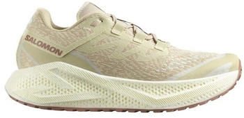 Salomon Aero Glide 3 grvl haze ice russet