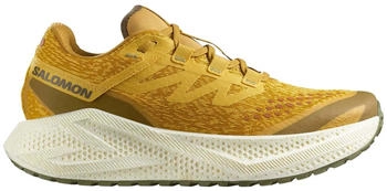 Salomon aero glide 3 grvl spicy mustard vanilla ice deep lichen